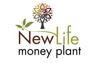 New Life Money Plant